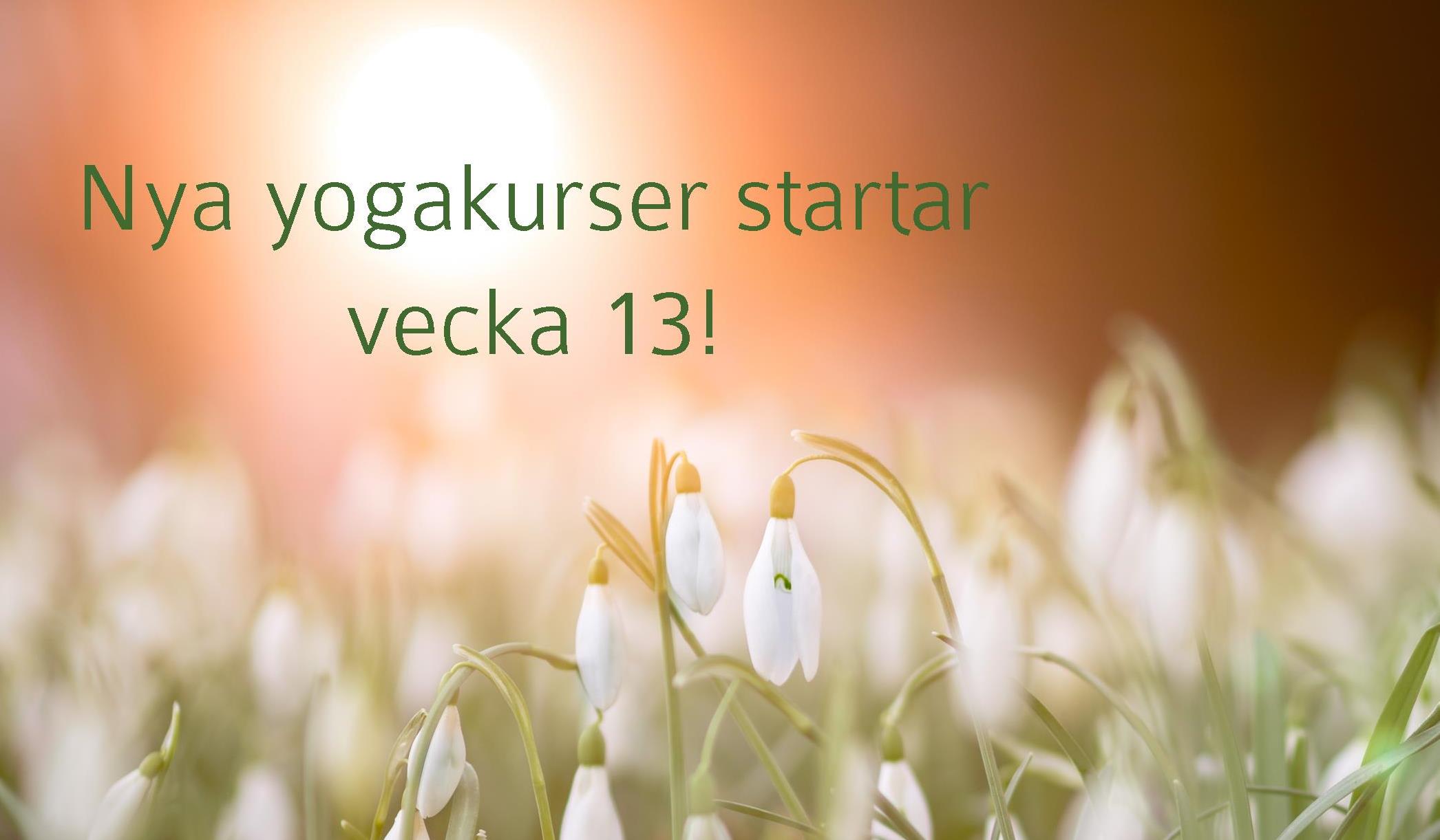 Vårens yogakurser, v13